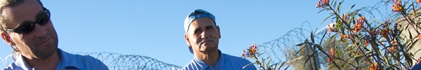 Icon for Post #18